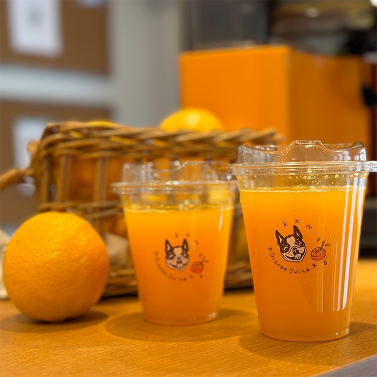 生搾りオレンジジュースイメージ